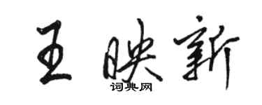 駱恆光王映新行書個性簽名怎么寫