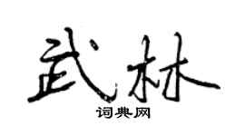 曾慶福武林行書個性簽名怎么寫