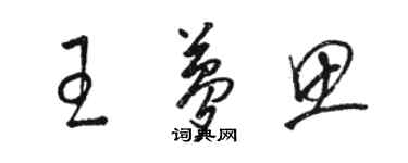 駱恆光王夢思草書個性簽名怎么寫