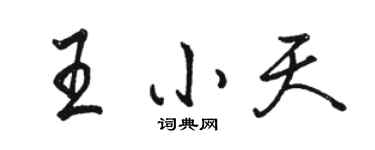 駱恆光王小天行書個性簽名怎么寫