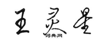 駱恆光王靈星行書個性簽名怎么寫
