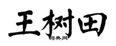 翁闓運王樹田楷書個性簽名怎么寫