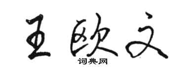 駱恆光王歐文行書個性簽名怎么寫