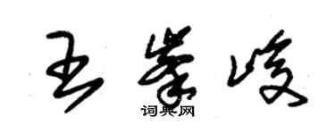 朱錫榮王峰峻草書個性簽名怎么寫