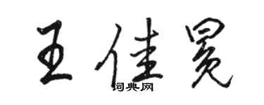 駱恆光王佳冕行書個性簽名怎么寫