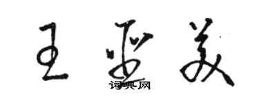 駱恆光王聖美草書個性簽名怎么寫