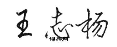 駱恆光王志楊行書個性簽名怎么寫