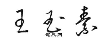 駱恆光王玉素草書個性簽名怎么寫