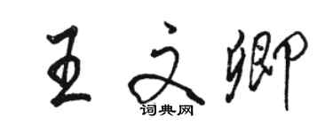 駱恆光王文卿行書個性簽名怎么寫