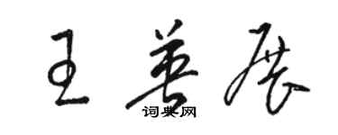 駱恆光王英展草書個性簽名怎么寫