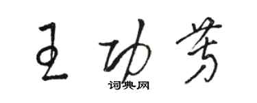 駱恆光王功芳草書個性簽名怎么寫