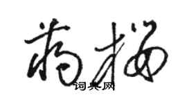 駱恆光蔣櫻草書個性簽名怎么寫