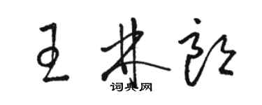 駱恆光王林朗草書個性簽名怎么寫