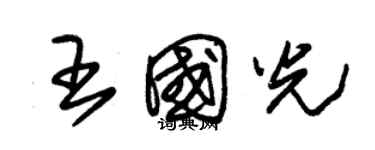 朱錫榮王國光草書個性簽名怎么寫