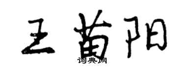 曾慶福王苗陽行書個性簽名怎么寫