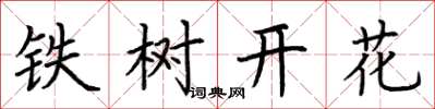 荊霄鵬鐵樹開花楷書怎么寫
