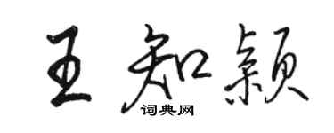 駱恆光王知穎行書個性簽名怎么寫