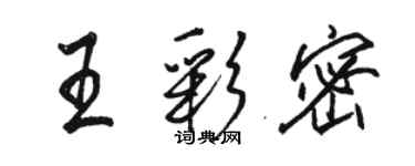 駱恆光王彩密行書個性簽名怎么寫