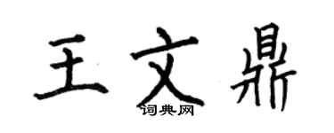 何伯昌王文鼎楷書個性簽名怎么寫