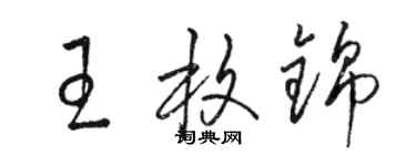 駱恆光王枚錦草書個性簽名怎么寫