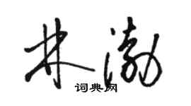 駱恆光林渤草書個性簽名怎么寫