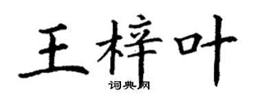 丁謙王梓葉楷書個性簽名怎么寫