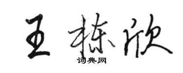 駱恆光王棟欣行書個性簽名怎么寫