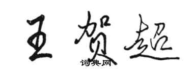 駱恆光王賀超行書個性簽名怎么寫