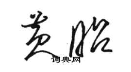 駱恆光黃昭草書個性簽名怎么寫