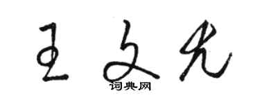 駱恆光王文尤草書個性簽名怎么寫