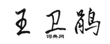 駱恆光王衛鵑行書個性簽名怎么寫