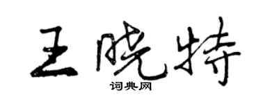 曾慶福王曉特行書個性簽名怎么寫