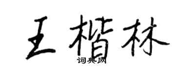 王正良王楷林行書個性簽名怎么寫