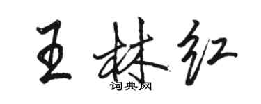 駱恆光王林紅行書個性簽名怎么寫