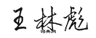 駱恆光王林彪行書個性簽名怎么寫