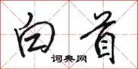 駱恆光白首行書怎么寫