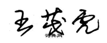 朱錫榮王茂虎草書個性簽名怎么寫