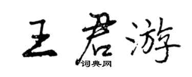 曾慶福王君遊行書個性簽名怎么寫