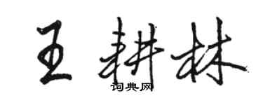 駱恆光王耕林行書個性簽名怎么寫