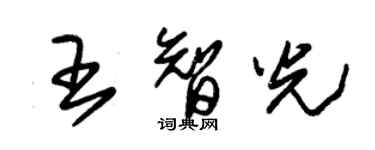 朱錫榮王智光草書個性簽名怎么寫