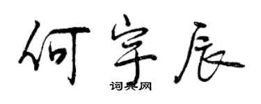 曾慶福何宇辰行書個性簽名怎么寫