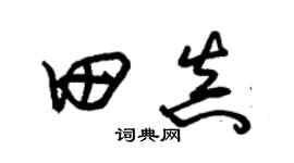 朱錫榮田真草書個性簽名怎么寫