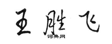 駱恆光王勝飛行書個性簽名怎么寫