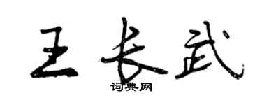 曾慶福王長武行書個性簽名怎么寫
