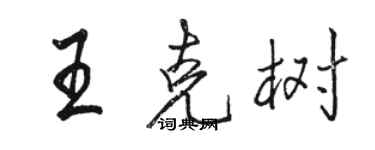 駱恆光王克樹行書個性簽名怎么寫