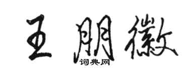 駱恆光王朋徽行書個性簽名怎么寫