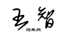 朱錫榮王智草書個性簽名怎么寫