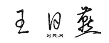 駱恆光王日燕草書個性簽名怎么寫