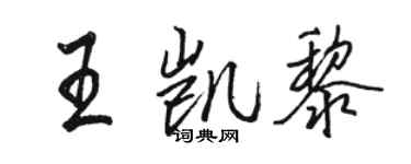 駱恆光王凱黎行書個性簽名怎么寫