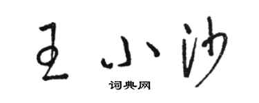 駱恆光王小沙草書個性簽名怎么寫